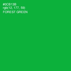 #0CB13B - Forest Green Color Image