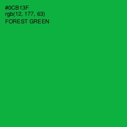 #0CB13F - Forest Green Color Image