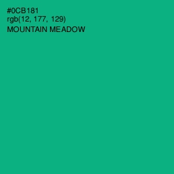 #0CB181 - Mountain Meadow Color Image