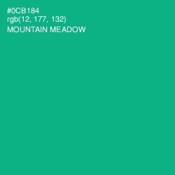 #0CB184 - Mountain Meadow Color Image