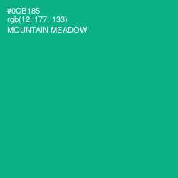 #0CB185 - Mountain Meadow Color Image