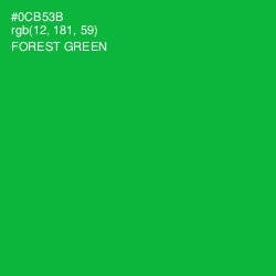 #0CB53B - Forest Green Color Image