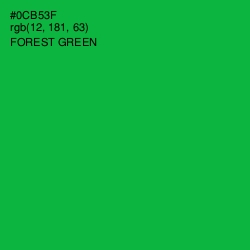#0CB53F - Forest Green Color Image
