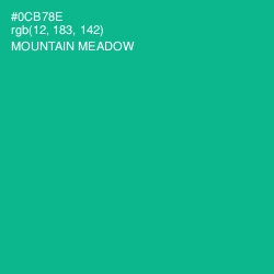 #0CB78E - Mountain Meadow Color Image