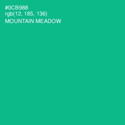 #0CB988 - Mountain Meadow Color Image