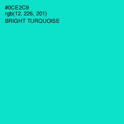 #0CE2C9 - Bright Turquoise Color Image