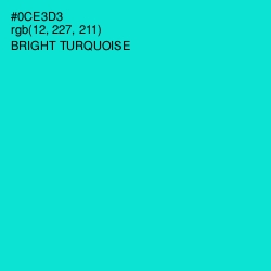 #0CE3D3 - Bright Turquoise Color Image