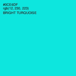 #0CE6DF - Bright Turquoise Color Image