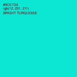 #0CE7D3 - Bright Turquoise Color Image