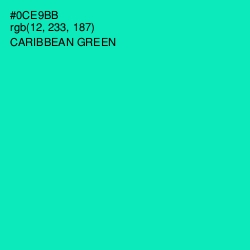 #0CE9BB - Caribbean Green Color Image