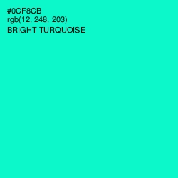 #0CF8CB - Bright Turquoise Color Image