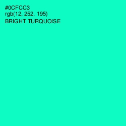 #0CFCC3 - Bright Turquoise Color Image