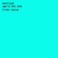 #0CFCEB - Cyan / Aqua Color Image