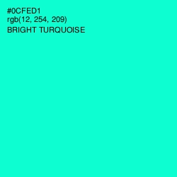 #0CFED1 - Bright Turquoise Color Image