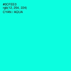 #0CFEE0 - Cyan / Aqua Color Image