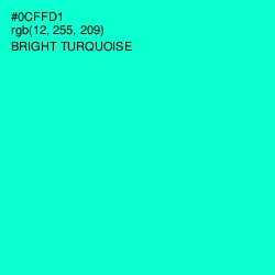 #0CFFD1 - Bright Turquoise Color Image