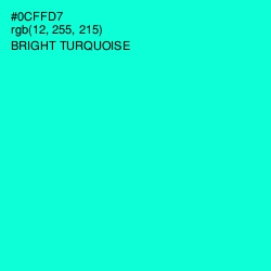 #0CFFD7 - Bright Turquoise Color Image