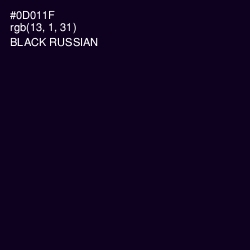 #0D011F - Black Russian Color Image