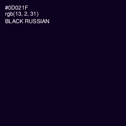 #0D021F - Black Russian Color Image