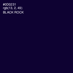#0D0231 - Black Rock Color Image