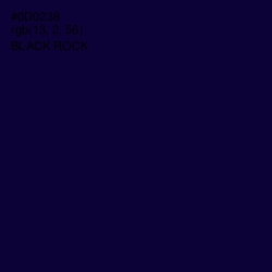 #0D0238 - Black Rock Color Image