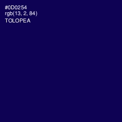 #0D0254 - Tolopea Color Image
