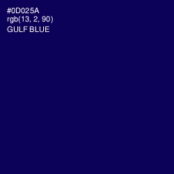 #0D025A - Gulf Blue Color Image