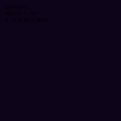 #0D041A - Black Russian Color Image