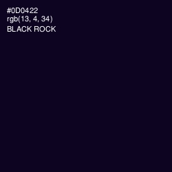 #0D0422 - Black Rock Color Image