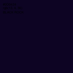 #0D0424 - Black Rock Color Image