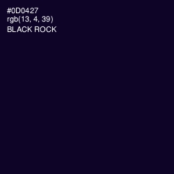 #0D0427 - Black Rock Color Image