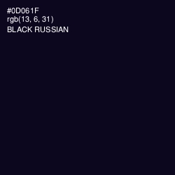 #0D061F - Black Russian Color Image