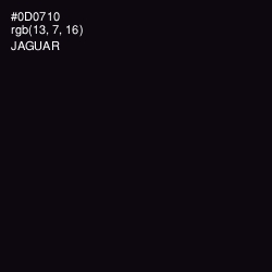 #0D0710 - Jaguar Color Image