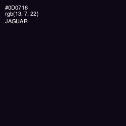 #0D0716 - Jaguar Color Image