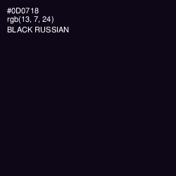 #0D0718 - Black Russian Color Image