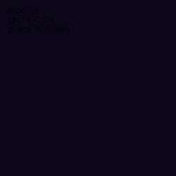 #0D0719 - Black Russian Color Image