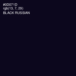 #0D071D - Black Russian Color Image