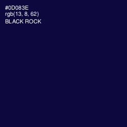 #0D083E - Black Rock Color Image