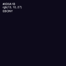 #0D0A1B - Ebony Color Image