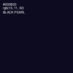 #0D0B20 - Black Pearl Color Image