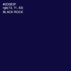 #0D0B3F - Black Rock Color Image