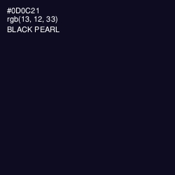 #0D0C21 - Black Pearl Color Image