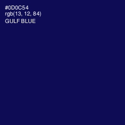 #0D0C54 - Gulf Blue Color Image