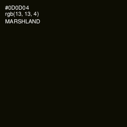 #0D0D04 - Marshland Color Image