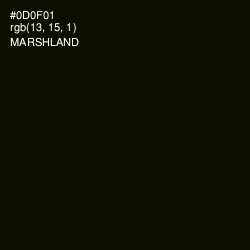 #0D0F01 - Marshland Color Image