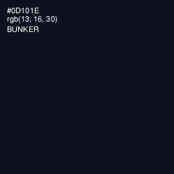 #0D101E - Bunker Color Image