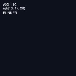 #0D111C - Bunker Color Image