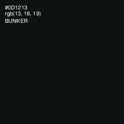 #0D1213 - Bunker Color Image