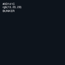 #0D141C - Bunker Color Image