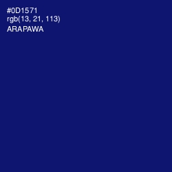 #0D1571 - Arapawa Color Image